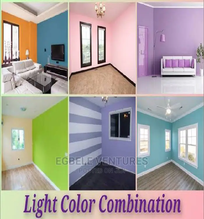 Professionals House Paintings