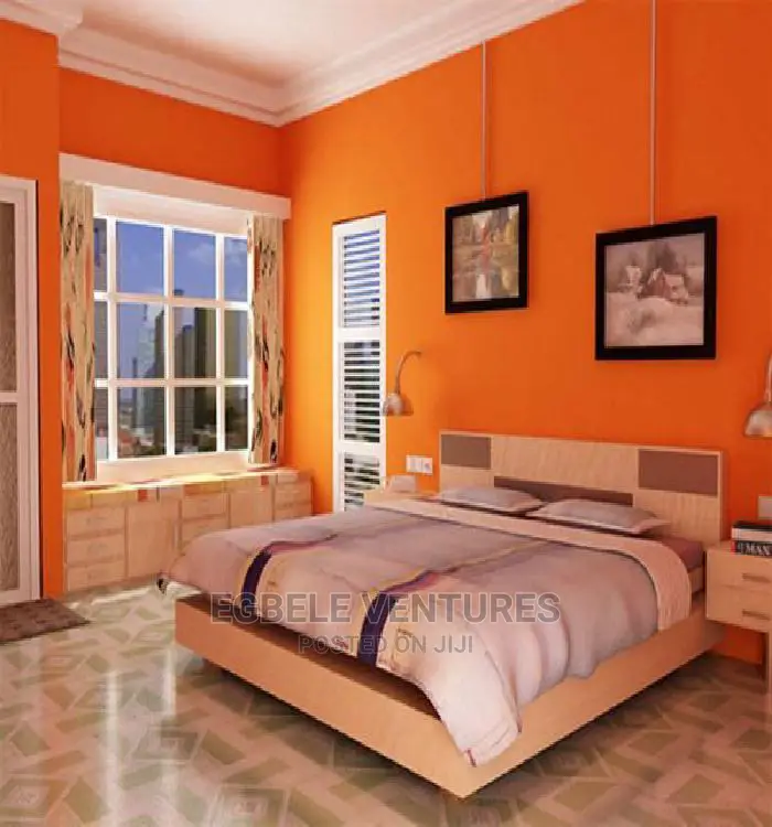 Professionals House Paintings