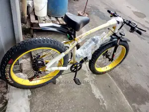 Electric Bike
