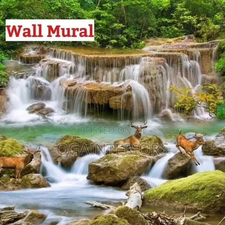 Wall Murals