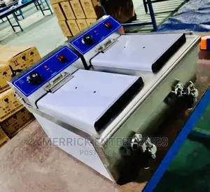 Electric Commercial Deep Fryer