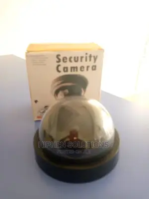Protective Surveillance Camera System