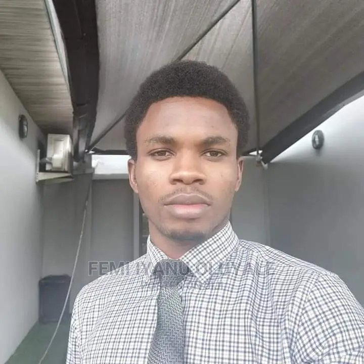 Diaspora Tutor at Ikeja