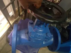 Globe Valves