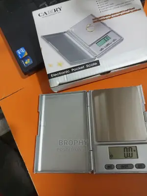 Original 500g Camry Pocket Scale