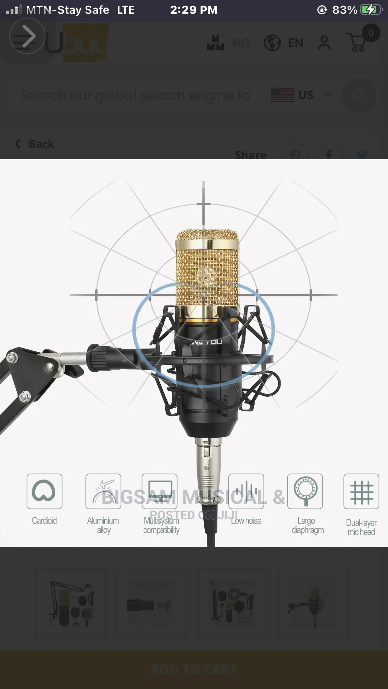 Professional Studio Microphone With Stand and Filter