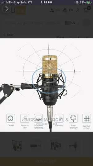 Professional Studio Microphone With Stand and Filter