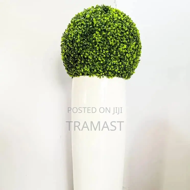 Plamond Vase With Box Wood Ball