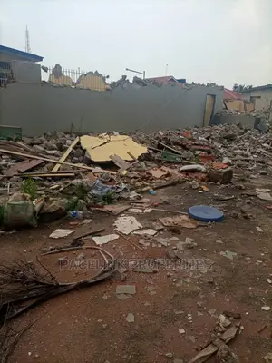 2 Plot of Land on the Major Road in Agric, Ikorodu