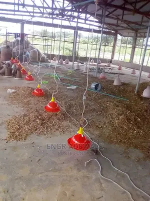 Automatic Drinkers Selling in Ibadan