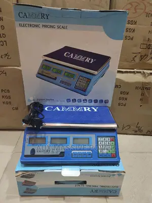 40kg Accurate Wealing Scale
