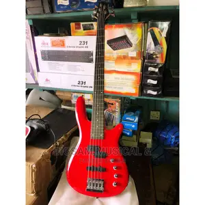 5 String Bass Guitar With Stand Bag Belt