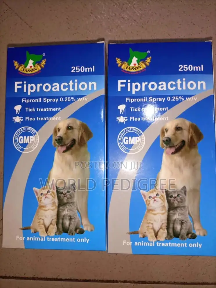 Dog Food Varieties