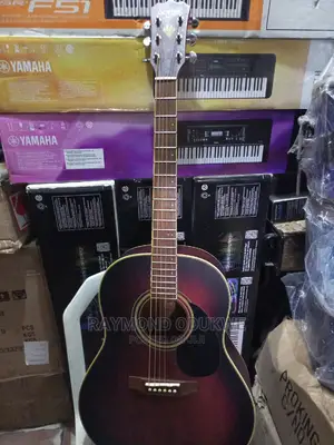 Photo - Professional Sexter Electric Acoustic Guitar