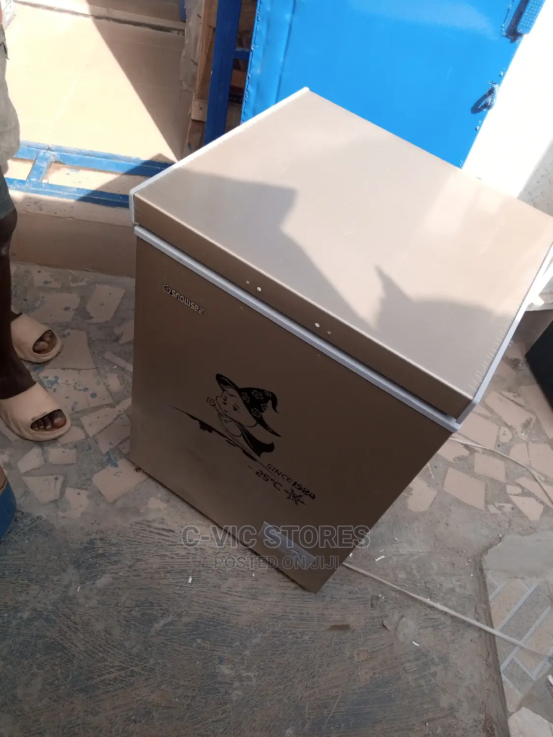 Snowsea Chest Freezer Bd-158