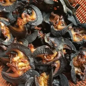 Nicely Clean and Dried Catfish, Tilapia,Prawns, Snails .Etc