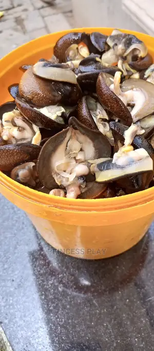 Nicely Clean and Dried Catfish, Tilapia,Prawns, Snails .Etc