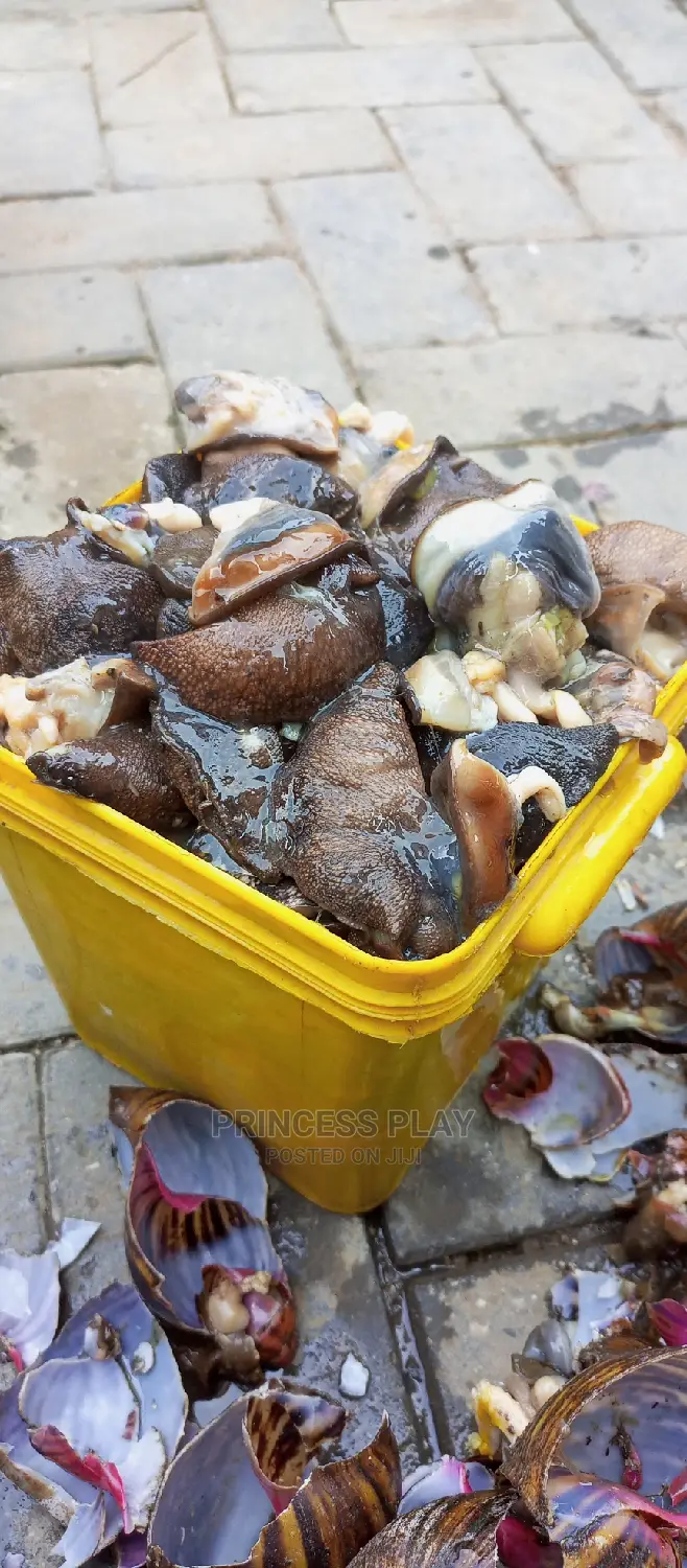 Nicely Clean and Dried Catfish, Tilapia,Prawns, Snails .Etc