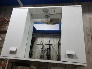 Cabinet Mirror With Two Opening