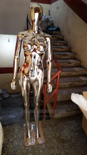 Female Size 8 Body With Big Bust Faceless Silver Mannequin