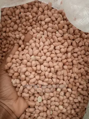 Groundnut in Bags