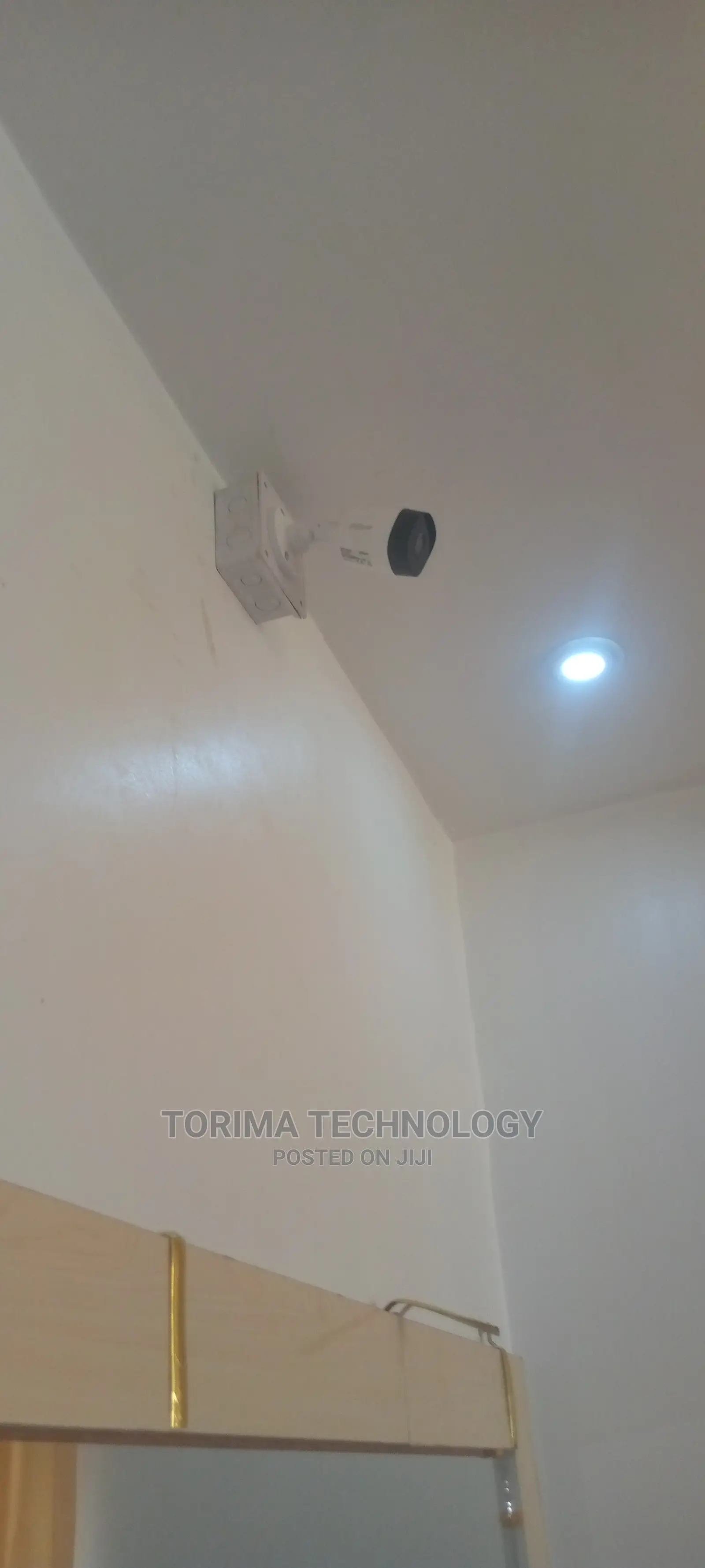 Great Surveillance Carmera