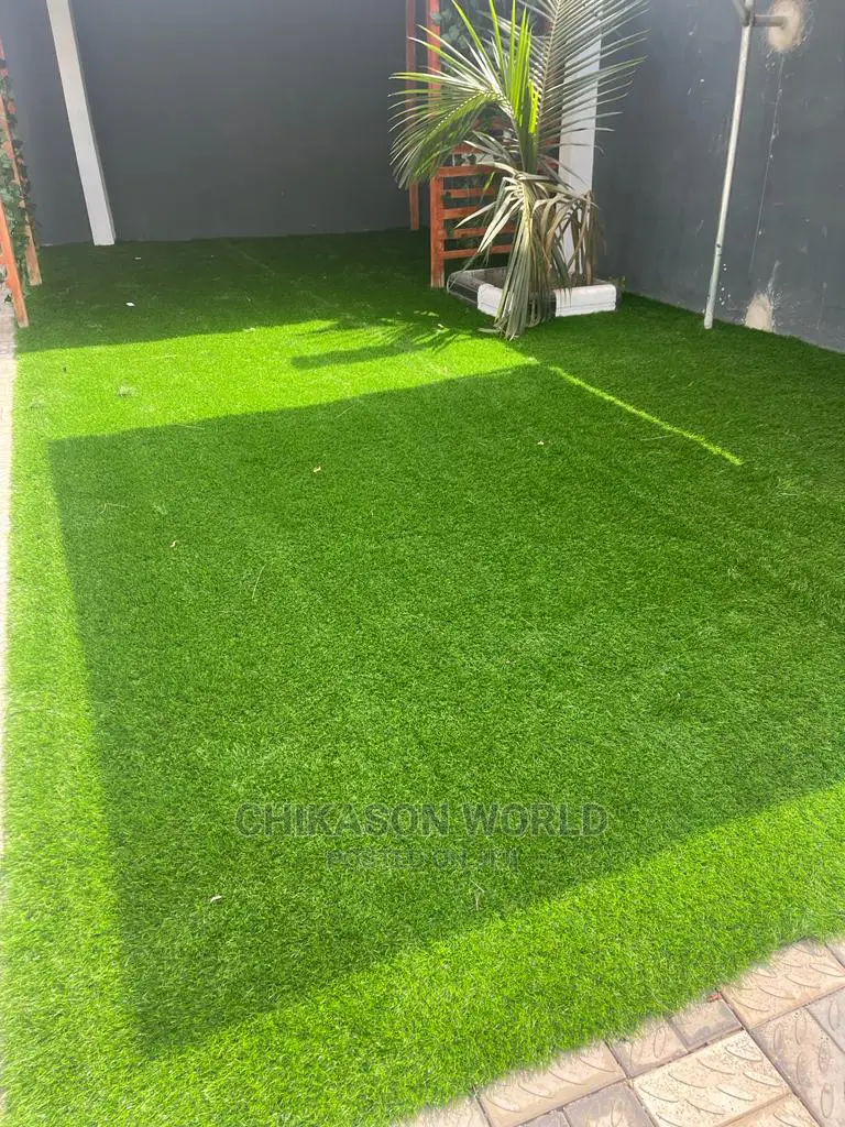 Best Synthetic Grass
