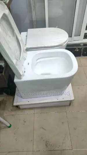 Concealed Wc