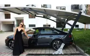 Foreign Standard Carport