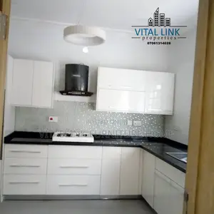 Luxurious Kitchen Cabinet