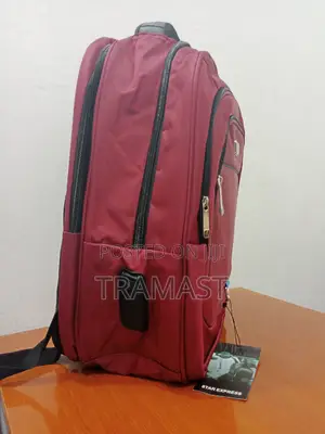 Classy Backbag