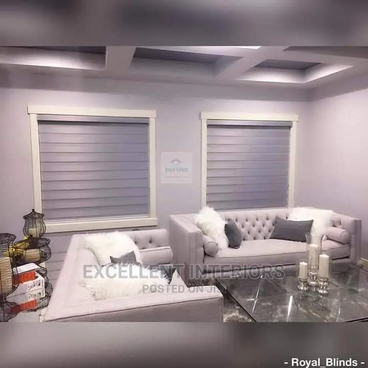 Silver Color Day and Night Blinds.