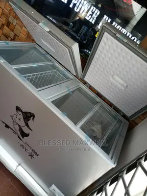 Snowsea Chest Freezer Dobuel Door