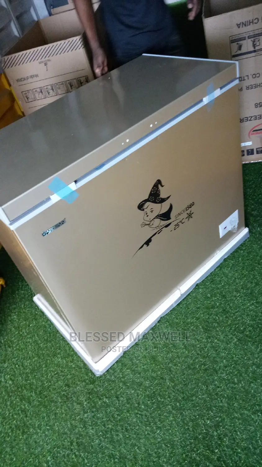 Snowsea Chest Freezer