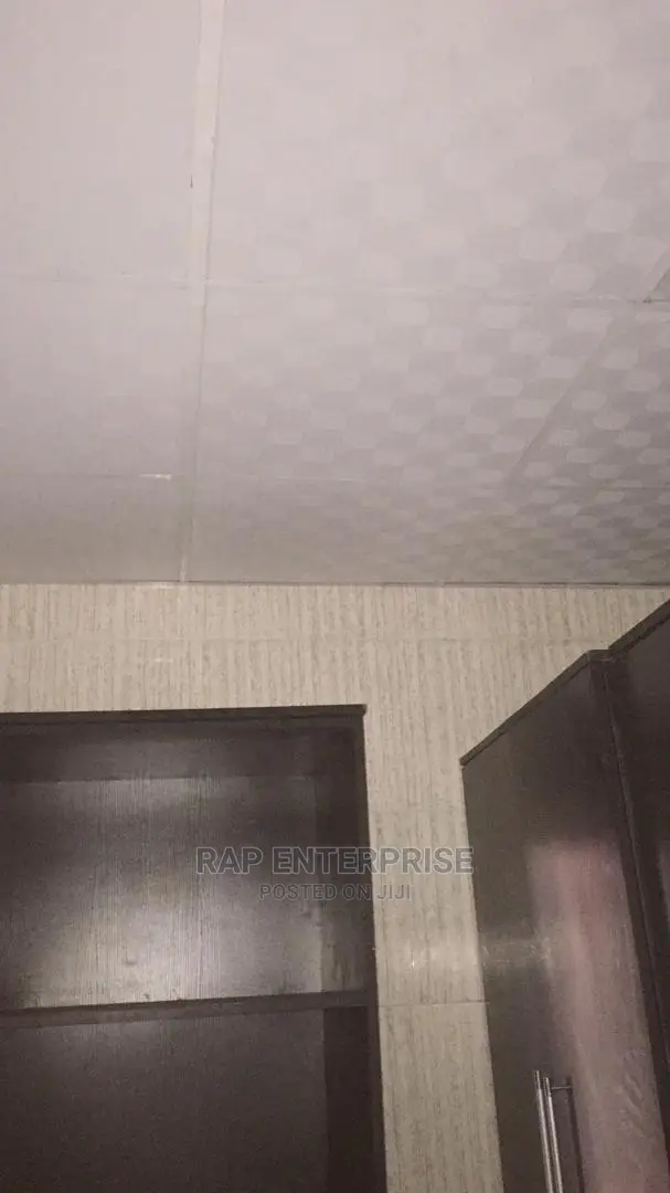 Suspended Ceiling Board Only