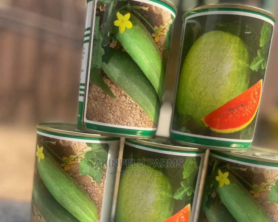 Cucumber Seeds