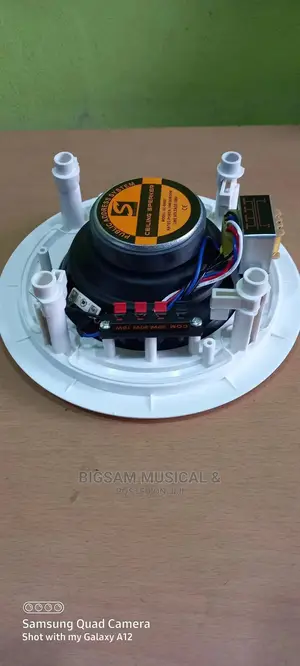 30watts Super Ceiling Speaker