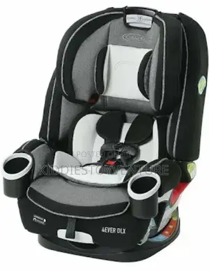 Graco Baby DLX 4-in-1 Car Seat