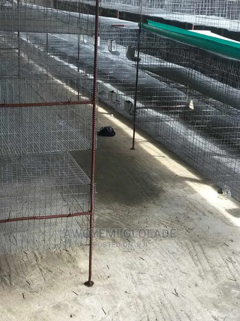 Rabbit Cage