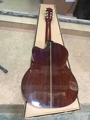 Professional Classical Acoustic Guitar