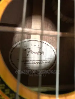 Professional Classical Acoustic Guitar