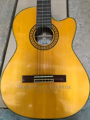 Professional Classical Acoustic Guitar