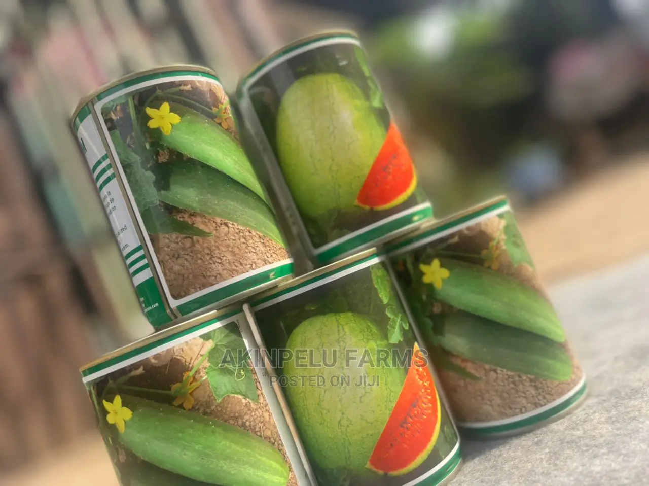 HYBRID CUCUMBER SEED-AVAILABLE in Different Sizes