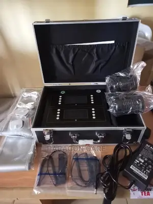 Foot Spa Ion Detoxification Machine