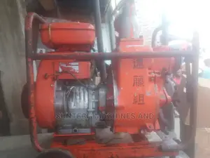 Robin 4/4" Trash Pump