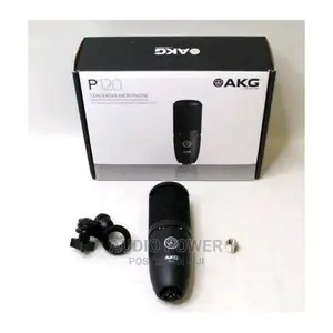 AKG P120 Studio Condenser Microphone