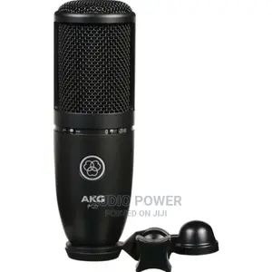 AKG P120 Studio Condenser Microphone