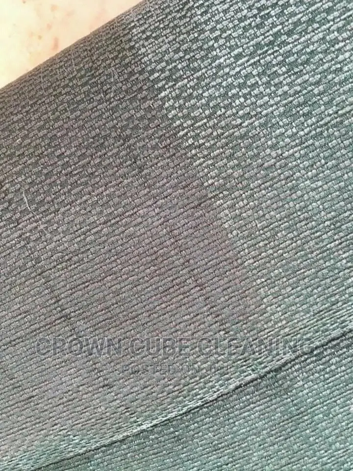 Couch Cleaning and Rug