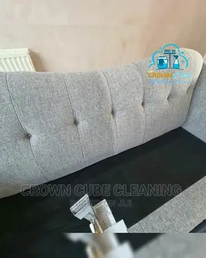 Couch Cleaning and Rug