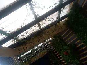 Transparent Sheets for Bars,Lounges and Hotels